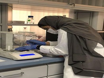 Mawhiba Research Program