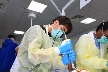 ضمن نتائج المبادرة السعودية الموهوبون العرب.. 431 من طلبة 16 دولة عربية يشاركون في برامج موهبة الإثرائية الصيفية 2024